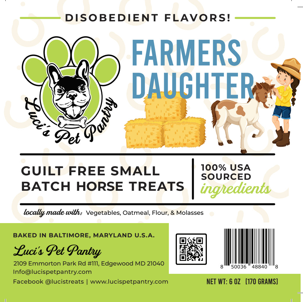 Strawberry Shortcake - All Natural "Strawberry" Horse Treats - Disobedient Biscuits 6 oz. Pouch