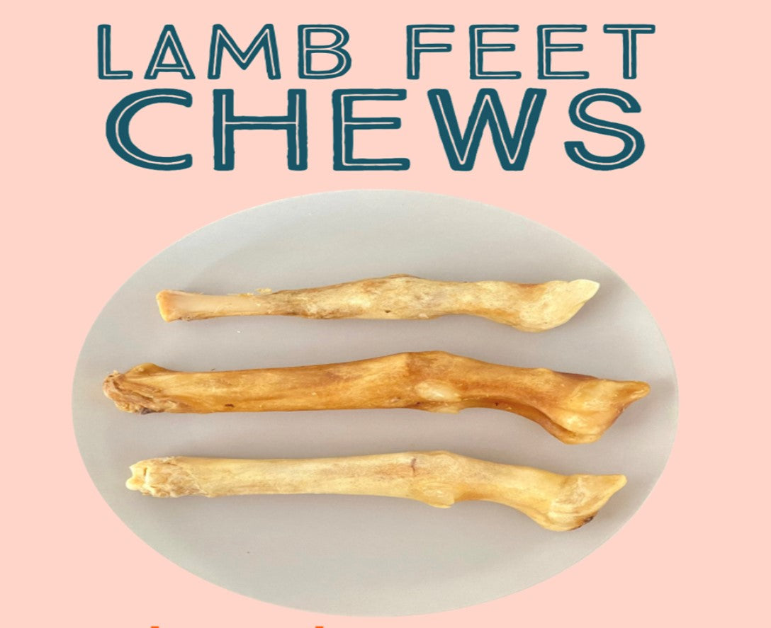 Dehydrated Lamb Trotter All Natural Healthy Dog Chews - For Heavy Chewers!